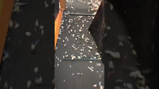 Установка машины Ankara Ekovar1